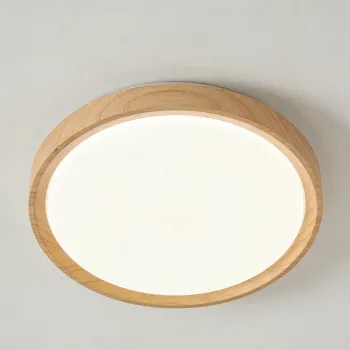 LED ceiling light for quiet rooms