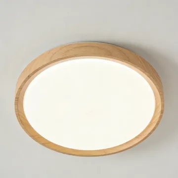 LED ceiling light for quiet rooms