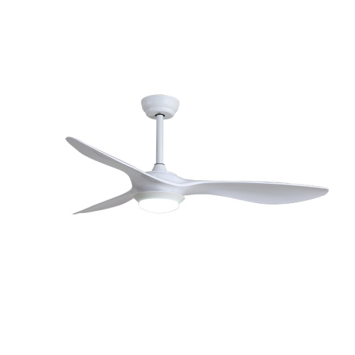 Multifunction Modern Dining Silent Luxury Ceiling Fan Light