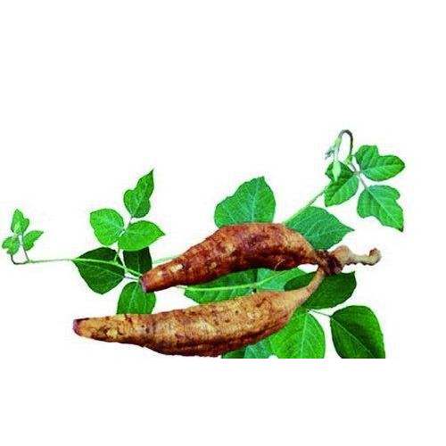 Nature Kudzu root extract