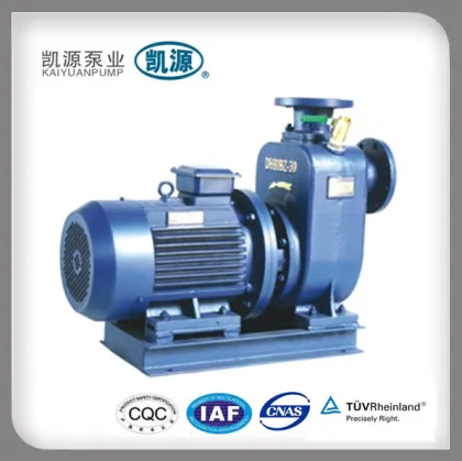 Shanghai Kaiyuan Pump Manufacturer Model BZ Rotary Pumps
