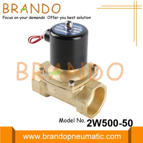 2W500-50 2'' Brass Water Solenoid Valve 24VDC 220VAC