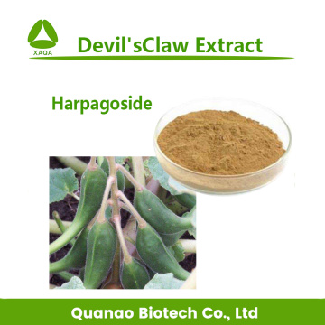 Devil's Claw Extract Harpagoside 1% 5% Powder