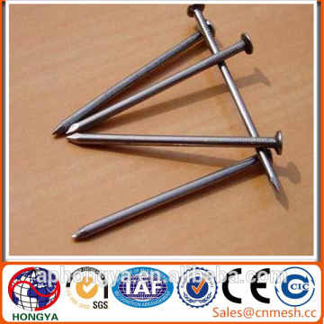 1"-6" Polished Common Nail/Common Wire Nail Price/Iron Nails