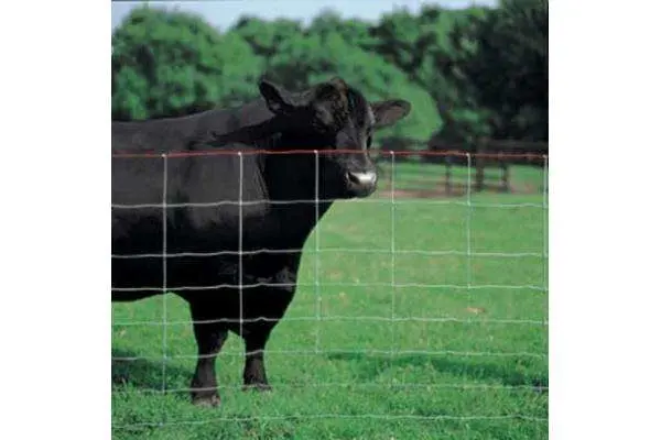 ANPINE Fabrication Galvanisé Wire Horse Grassland Net de sécurité clôture