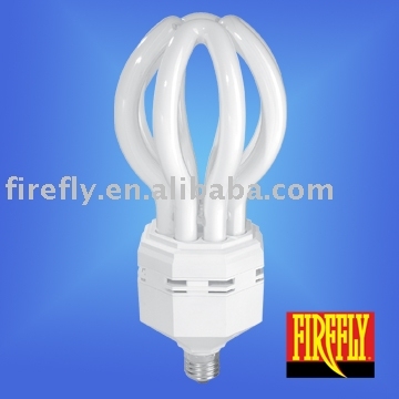 Energy Saving Lamp (BH4-80W)