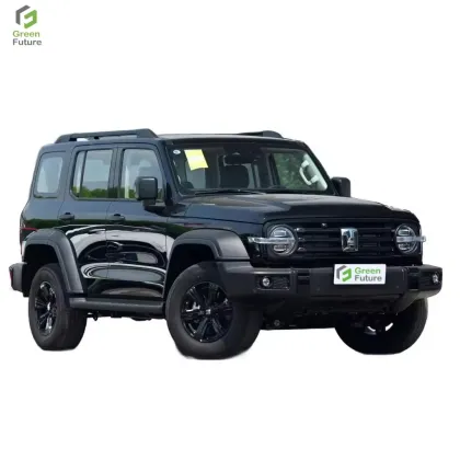 300L Gasoline Tank AWD SUV - Great Wall GWM New Cars for Adults