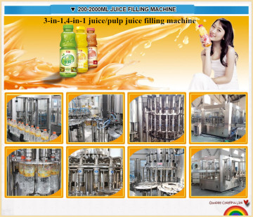 Washing, Filling, Capping Fruit Juice Production Line/Filling Line