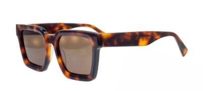 C3 Acetate Glasses Frame Tortoiseshell Brown