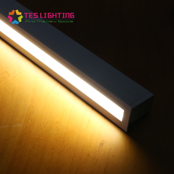 Neon led strip dmx waterproof ip68