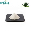 Cosmetic Moisturizing organic 200:1 aloe vera gel freeze dried powder Manufactory