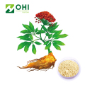 Extracto estándar de ginsenósidos de ginseng Residuos