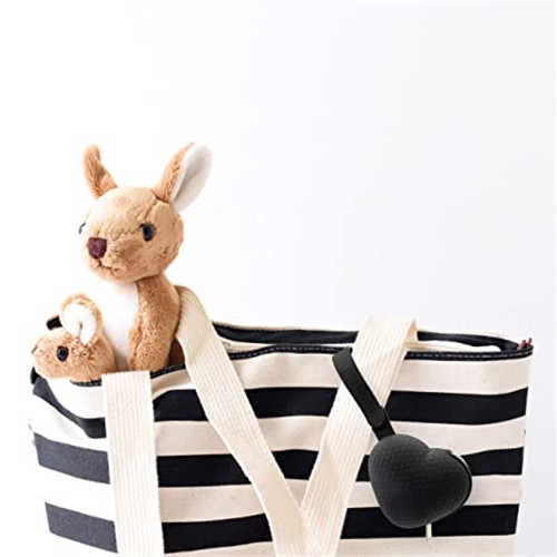 Pacifier Holder Case