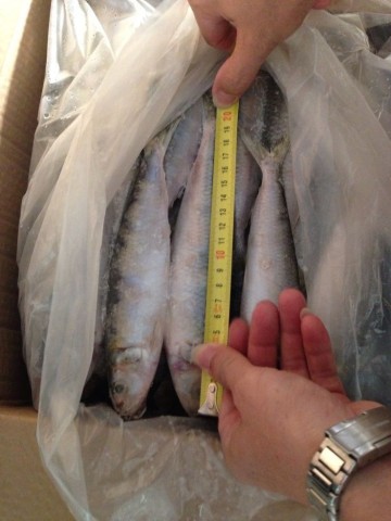 sardine varieties from China