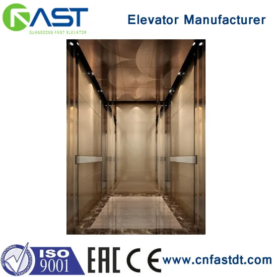 Standard type home use elevator