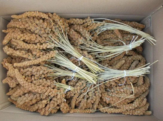 Red Millet Sprays for Birds