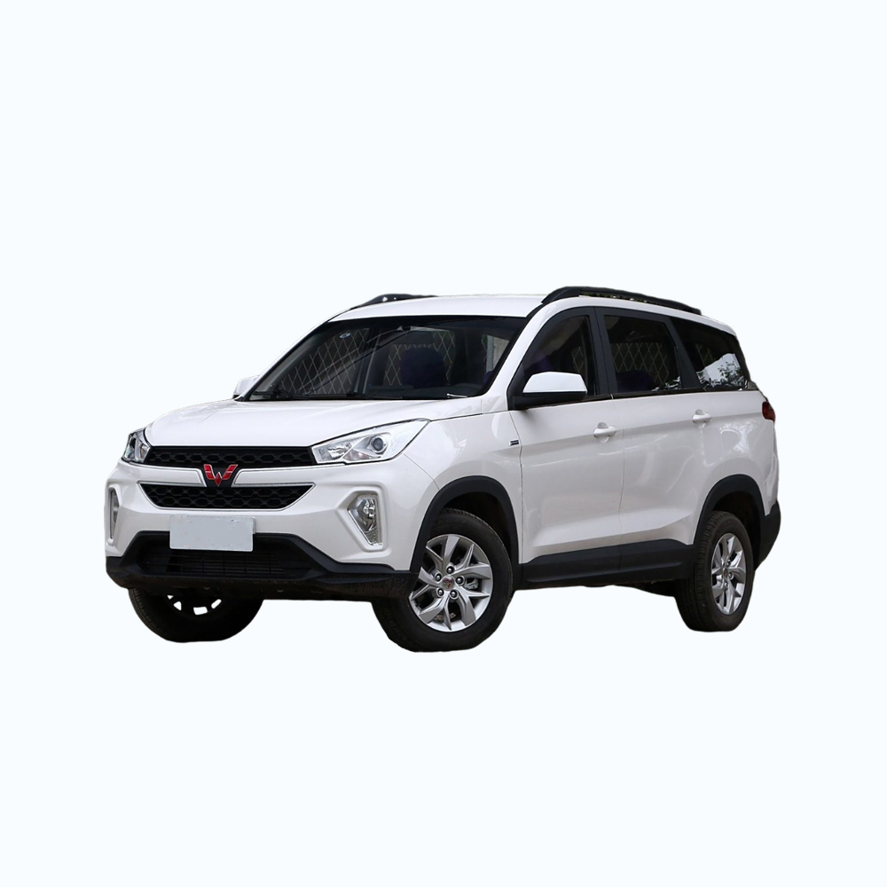 Family car Wuling Hongguang S3