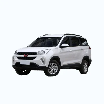 Family car Wuling Hongguang S3