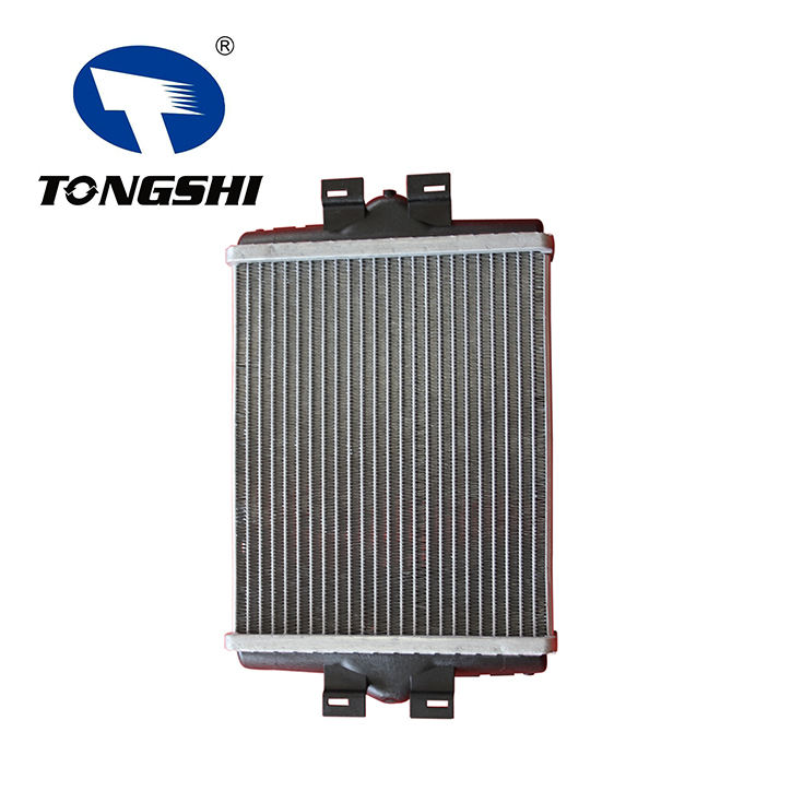 High Quality TONGSHI Car Aluminum Heater Core for BMW F20-F30 OEM 17117628057 Manufacture Heater