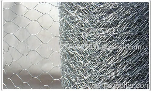 Hexagonal Wire Mesh/hexagonal Wire Netting(factory) 