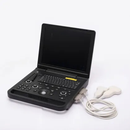 Male hepatitis ultrasound diagnostic instrument