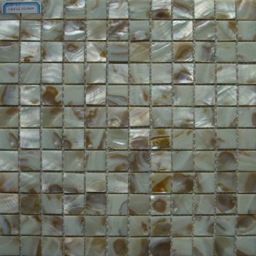 SY-17 Classical Shell Mosaic Wall Tile