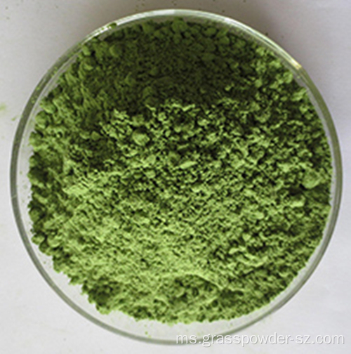 Serbuk daun kale muda organik