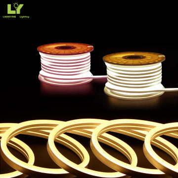 Waterproof IP68 AC 110-220V Warm White RGB Flexible LED Neon Strip Lights