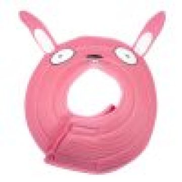 Pet dog Elizabeth circular collar