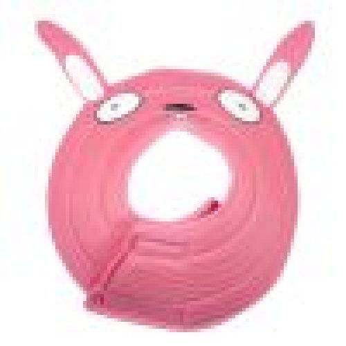 Pet dog Elizabeth circular collar