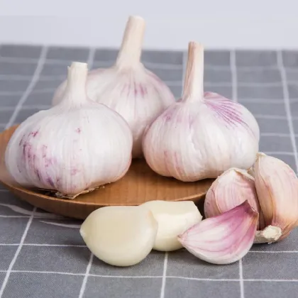 Natural Purple Garlic for Homemade Pickles