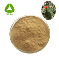 Cactus Extract Flavone Powder 10:1