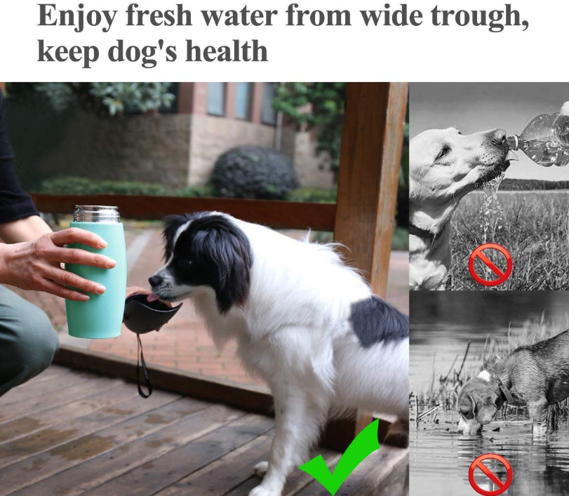 Stainless Steel Dog Water Bottle