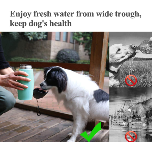 Bouteille d&#39;eau de chien en acier inoxydable