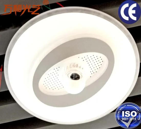 High lumens led secondery bedroom ceiling light