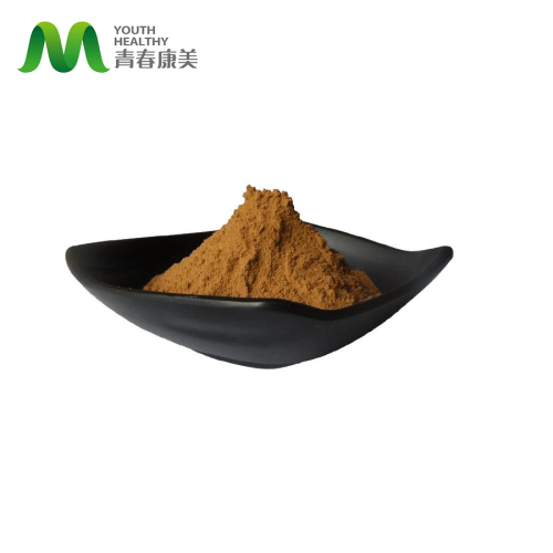 Hericium Erinaceus Extract Bulk Hericium Erinaceus Mushroom Extract Supplier