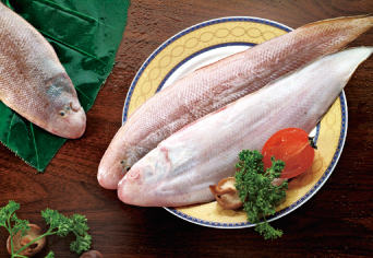 IQF Frozen Seafood Sole Fish