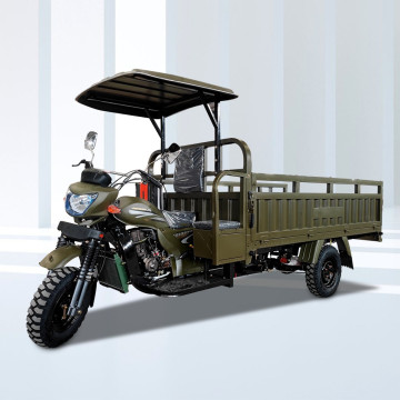 Wholesale Top Sale: Favourable Price Long-Lasting High Quality Tricycles FH175ZH/FH200CC/250CC