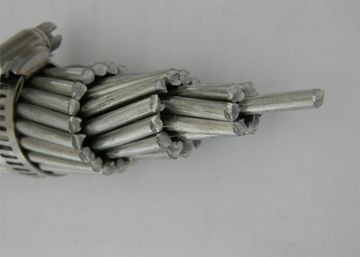 All aluminum conductor AAC Butterfly