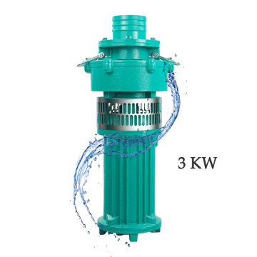 High-Lift Large Flow Oil-Immersed Submersible Electric Three-Phase Pump 4.1HP