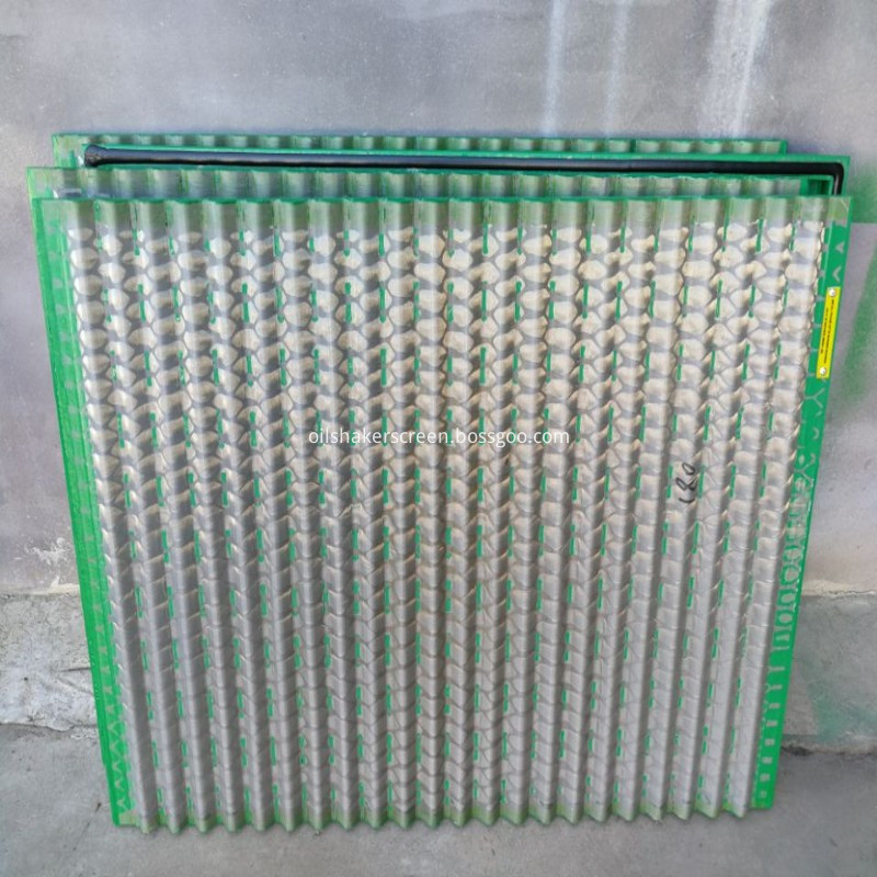 Dfts Shaker Screen
