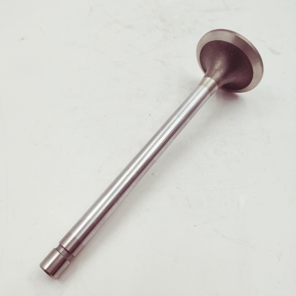 Exhaust Valve 3088389