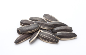 Wholesale New Crop Peeled Roasted Sunflower Seeds