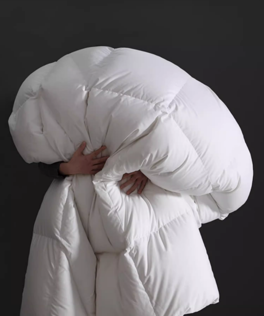 Luxury Hotel White Silent Down Comforter