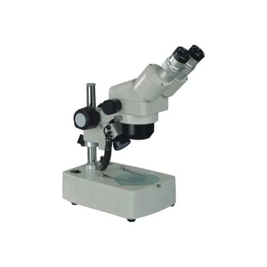 China Stereo Microscopes: Latest Prices and Specifications