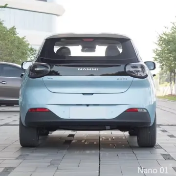 2024 Dongfeng Light Wind Edition Electric SUV