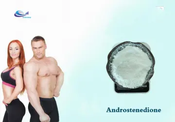 High 99% high quality purity Androstenedione CAS 63-05-8