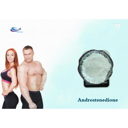 High 99% high quality purity Androstenedione CAS 63-05-8