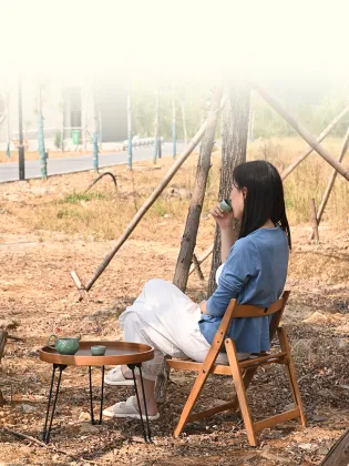 Convenient and Sensitive Folding Chair