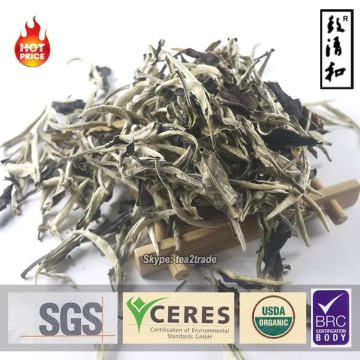 Private Label Wholesale OEM White Tea Price